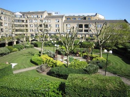 Picture of the garden